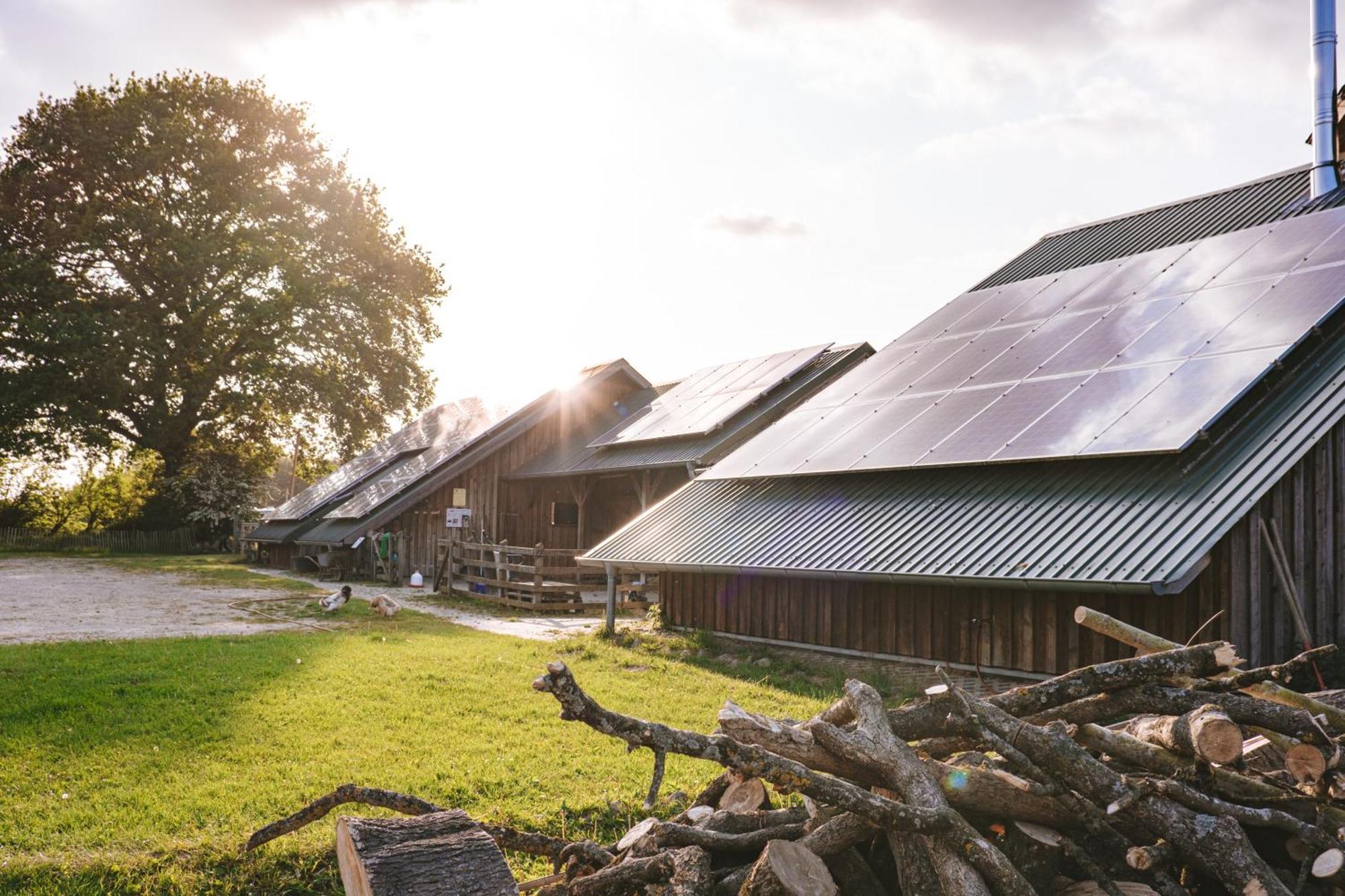 Domo Camp - Nature Glamping Hof Viehbrook Hotell Rendswuhren Eksteriør bilde