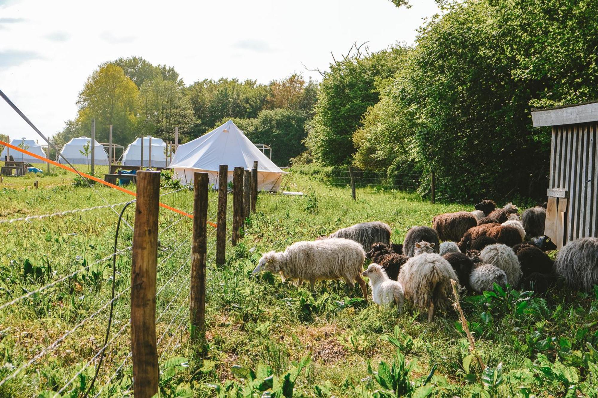 Domo Camp - Nature Glamping Hof Viehbrook Hotell Rendswuhren Eksteriør bilde